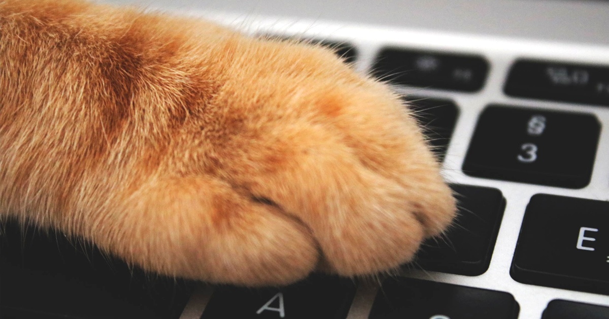 Удалёнка: самые полезные статьи об эффективной работе из дома - 2